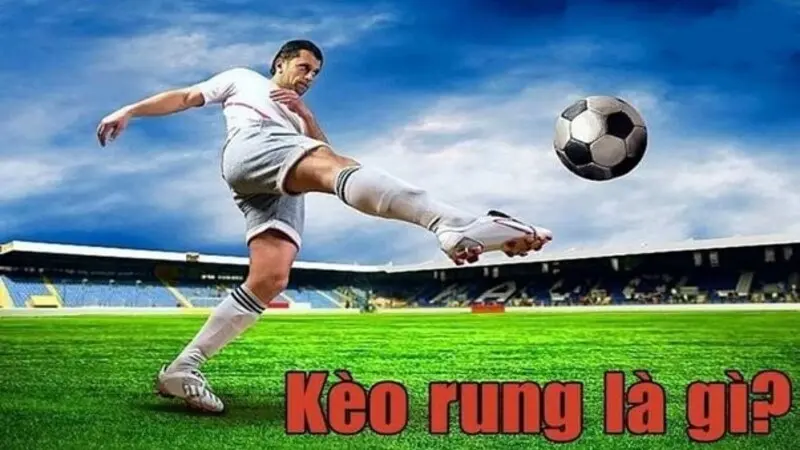 Tìm hiểu về kèo rung cùng N666